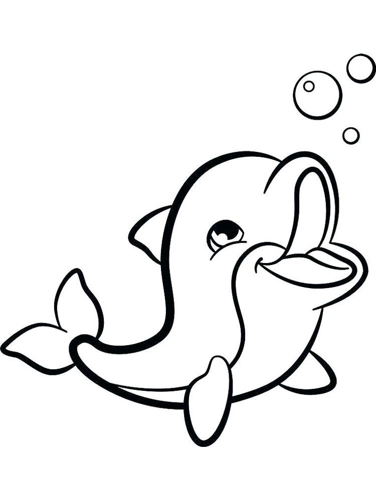 30 Playful Dolphin Coloring Pages Printable 35