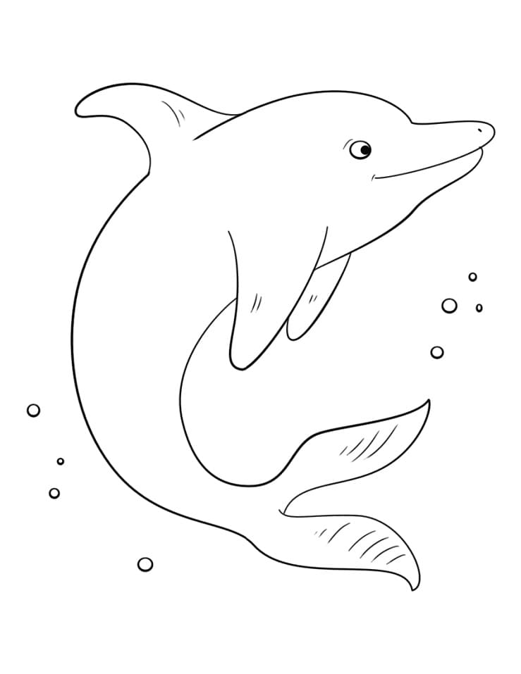 30 Playful Dolphin Coloring Pages Printable 4