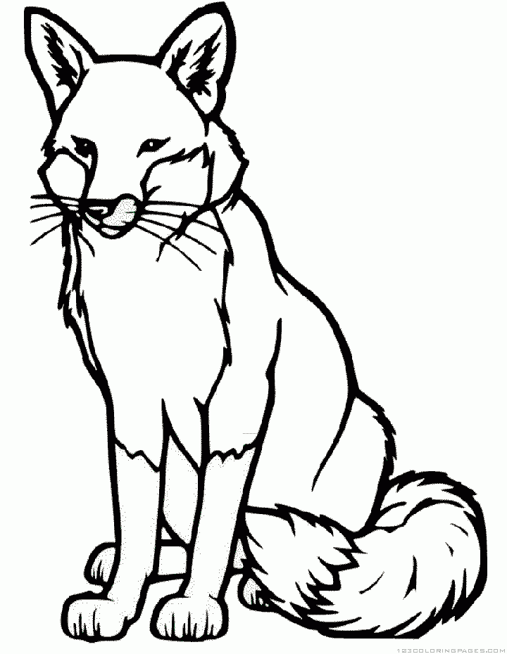 34 Sly Fox Coloring Pages Printable 32