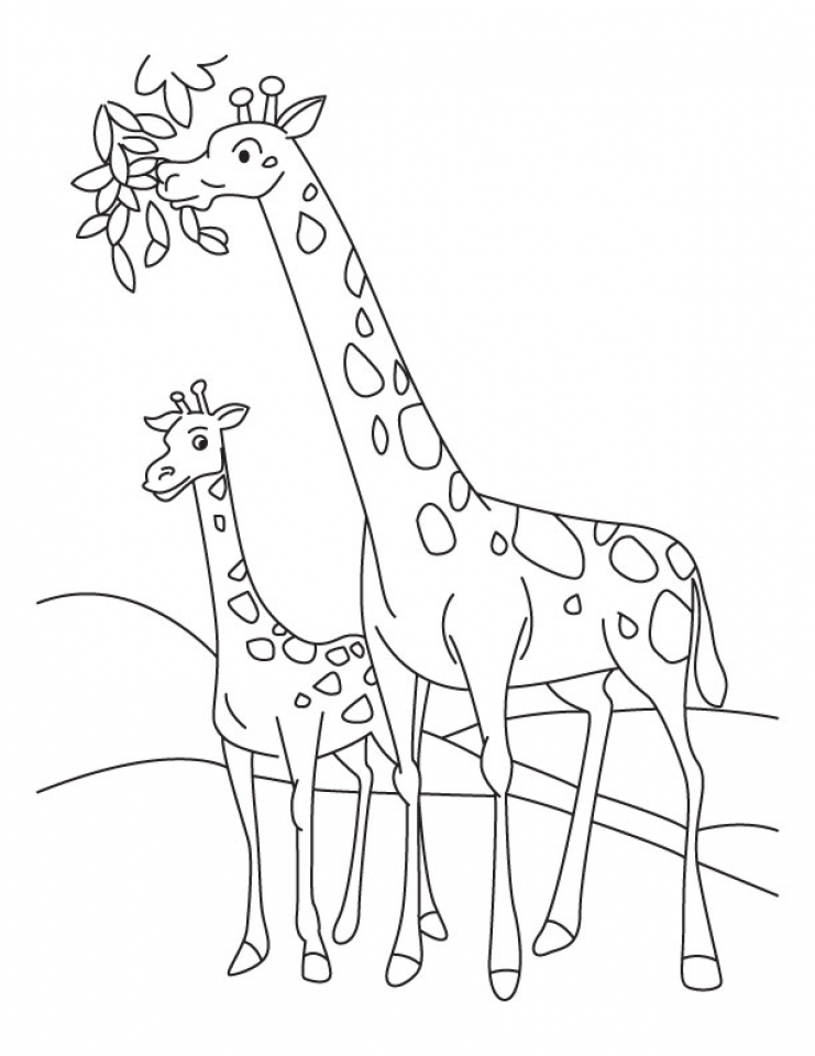 35 Tall Giraffe Coloring Pages Printable 12