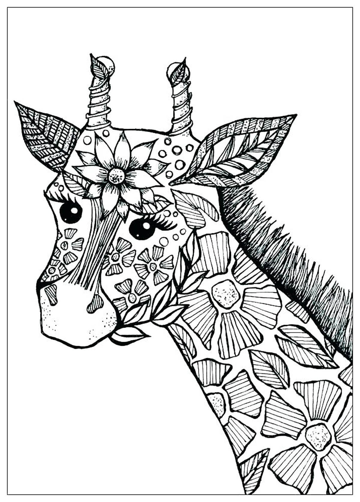 35 Tall Giraffe Coloring Pages Printable 13