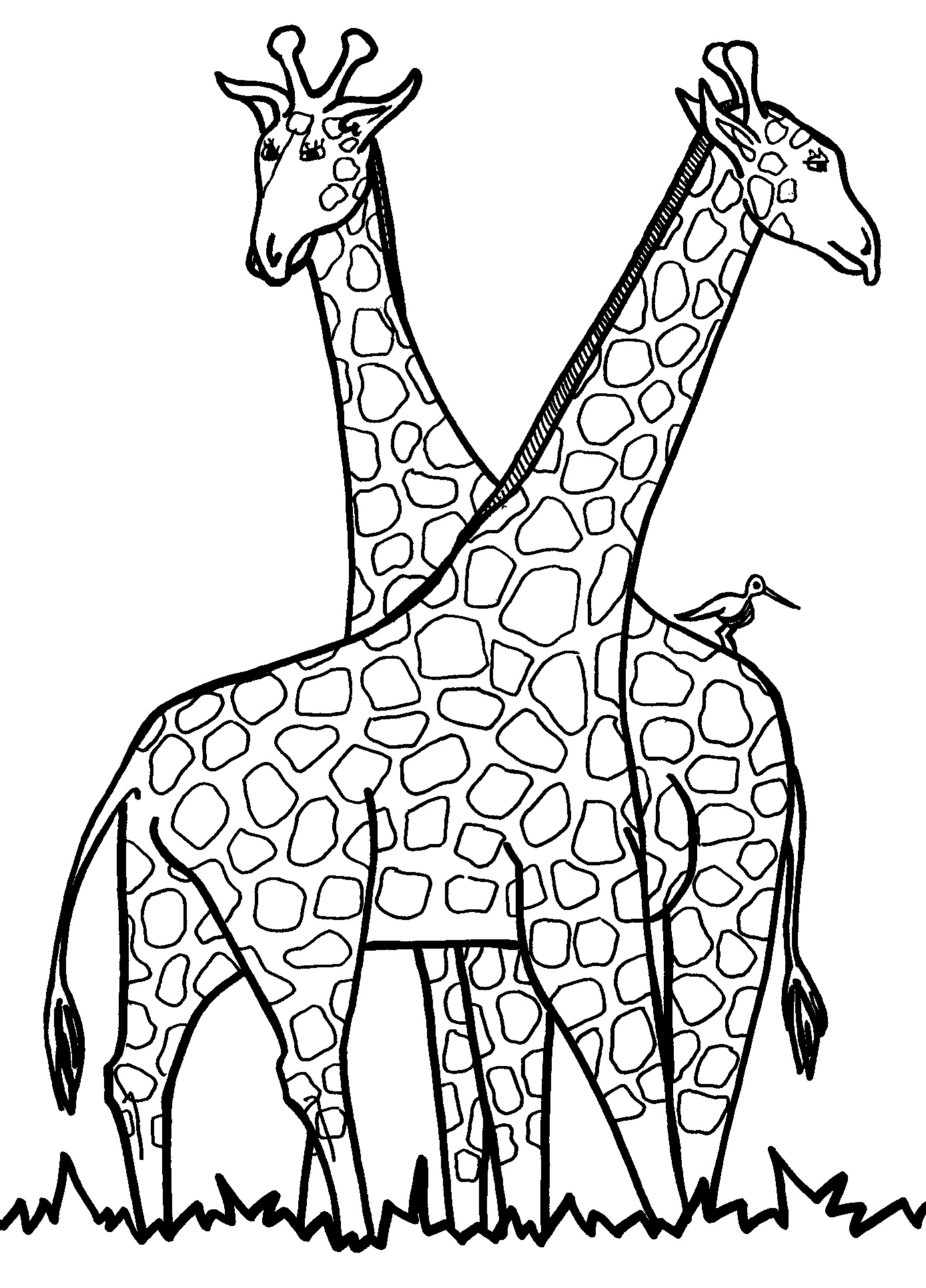 35 Tall Giraffe Coloring Pages Printable 2