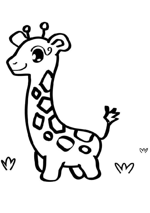 35 Tall Giraffe Coloring Pages Printable 23