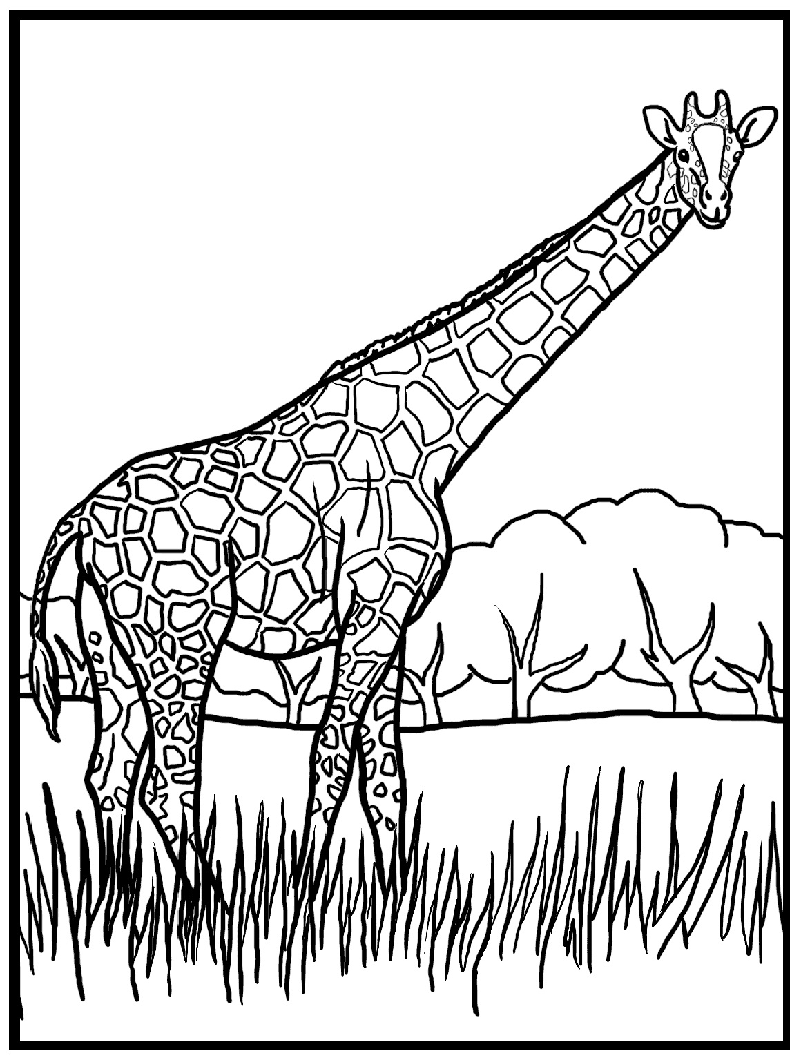 35 Tall Giraffe Coloring Pages Printable 26