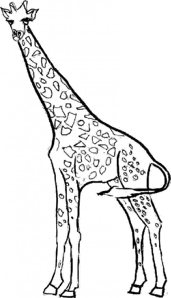 35 Tall Giraffe Coloring Pages Printable 29