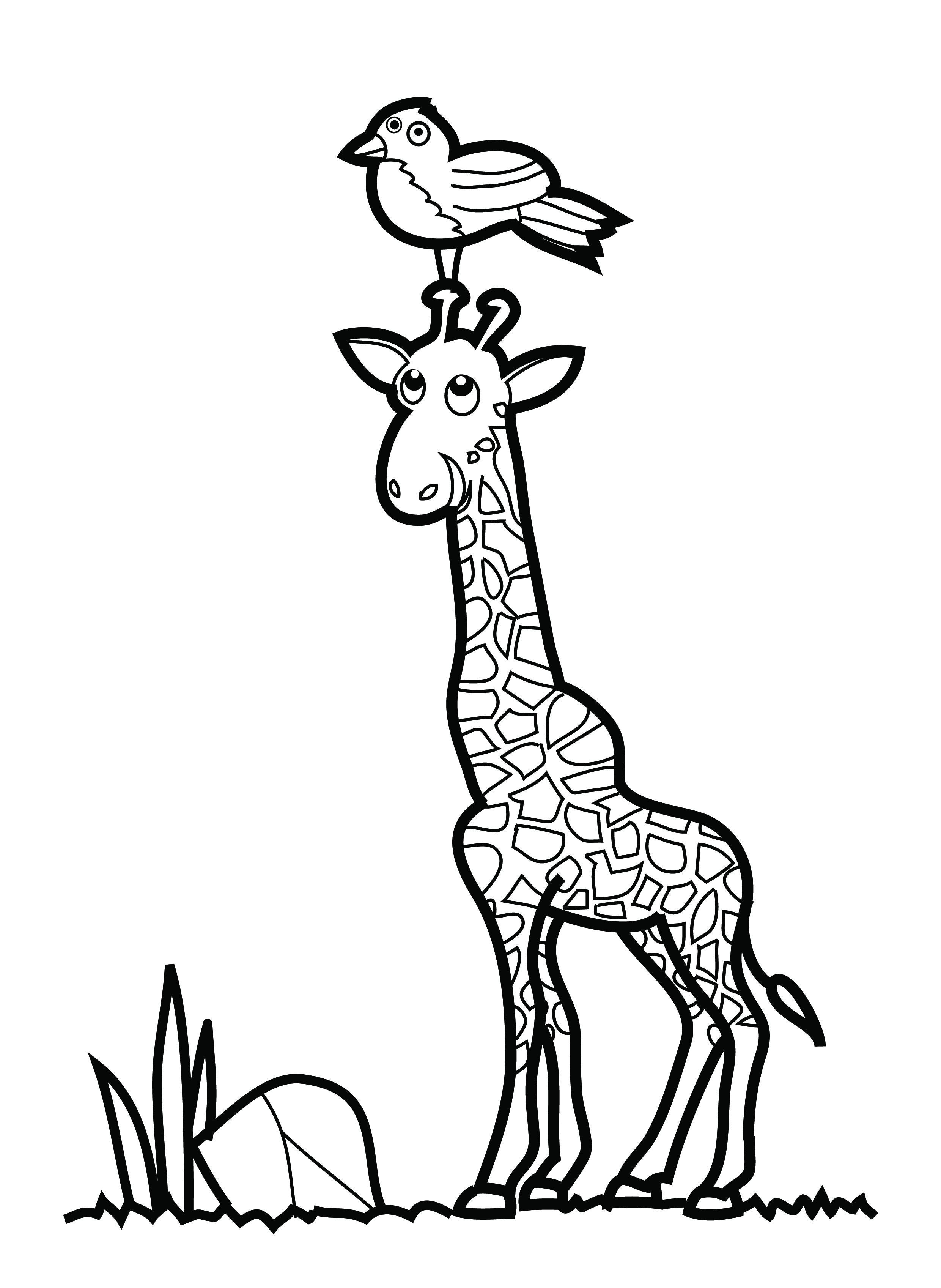 35 Tall Giraffe Coloring Pages Printable 3