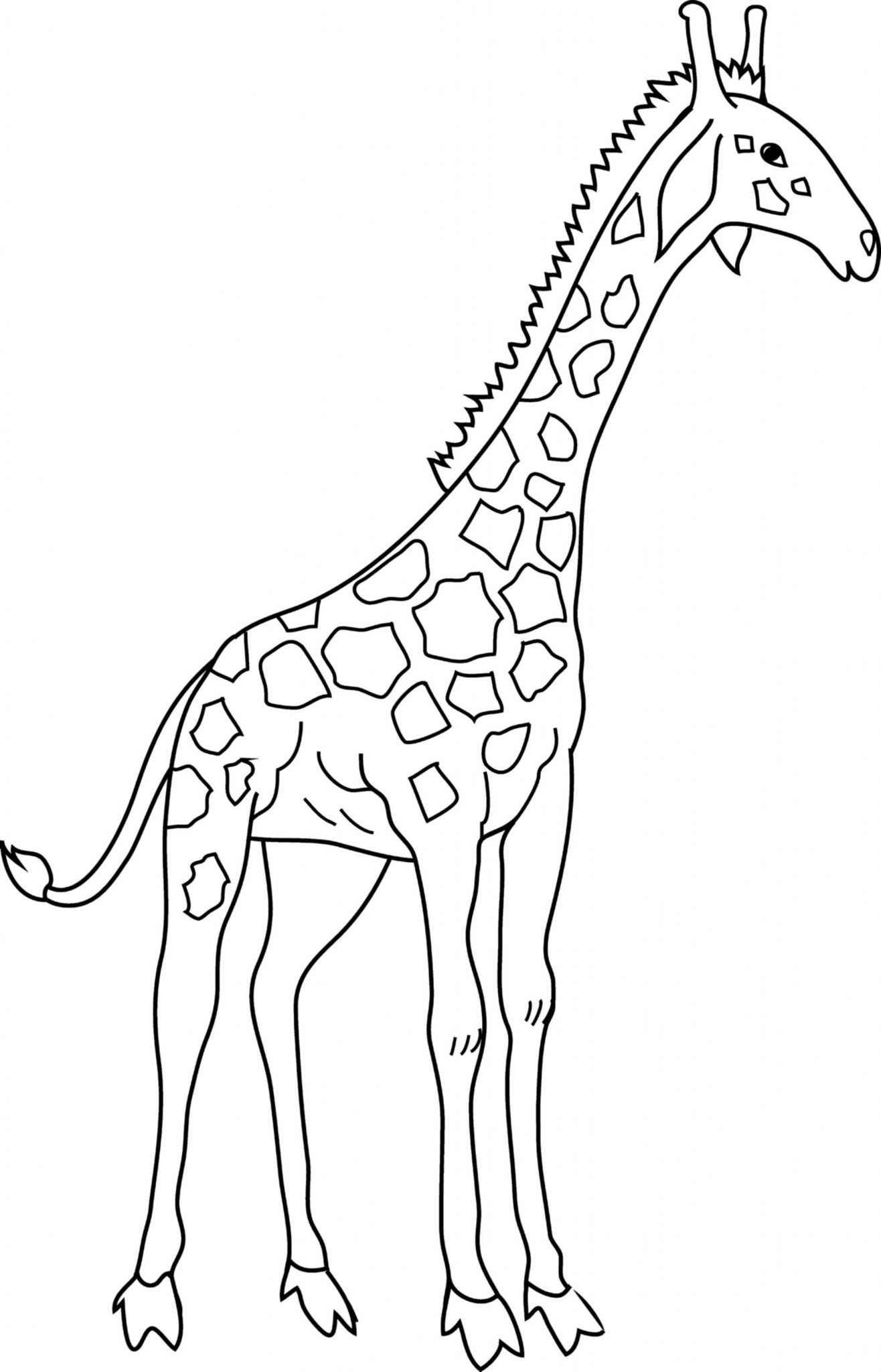 35 Tall Giraffe Coloring Pages Printable 4