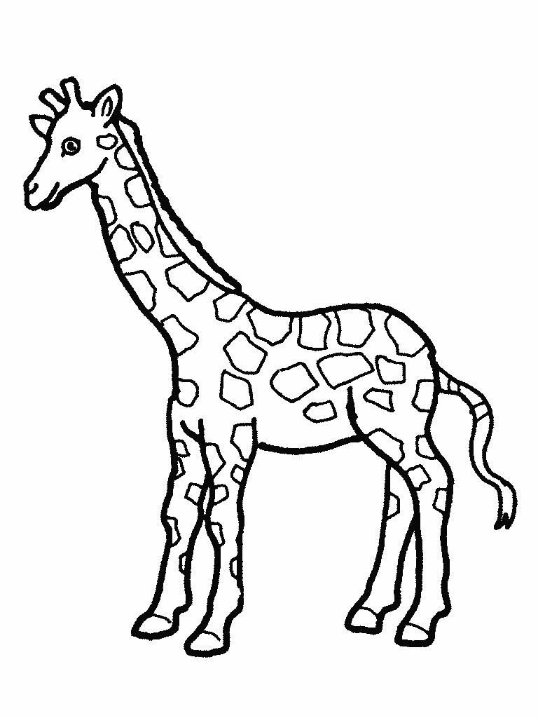 35 Tall Giraffe Coloring Pages Printable 5