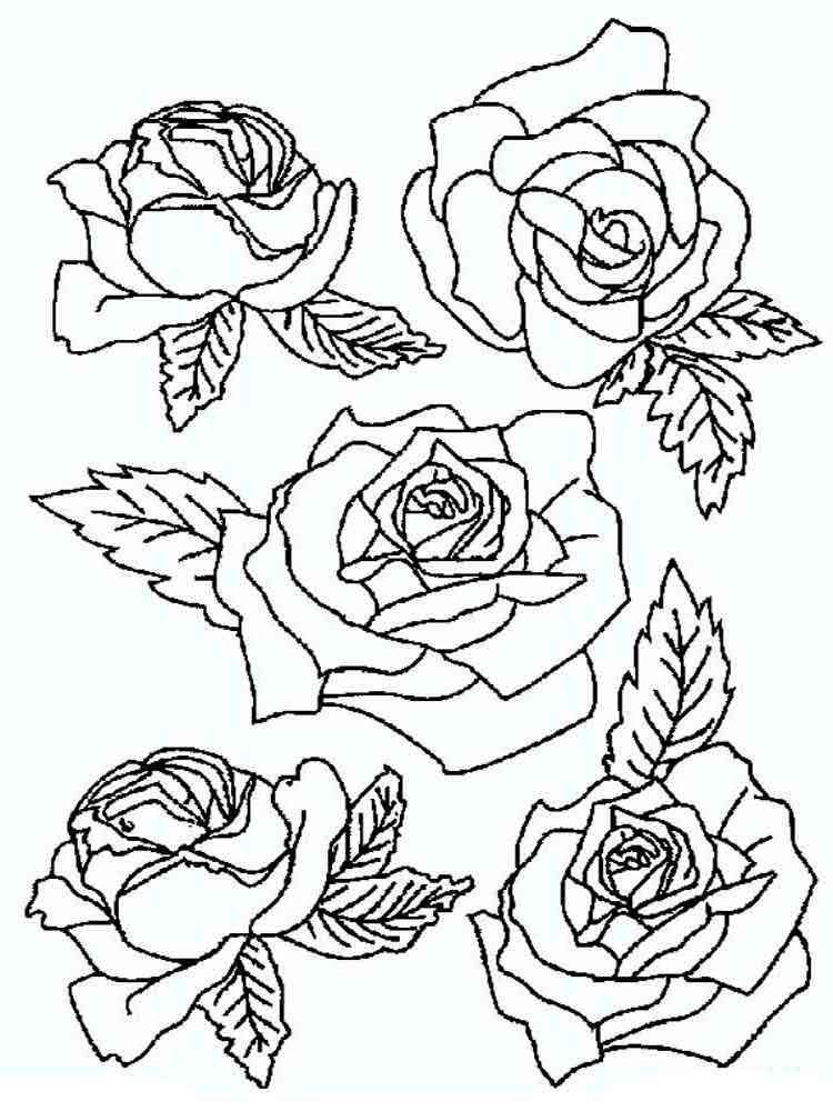 37 Elegant Rose Coloring Pages Printable 15