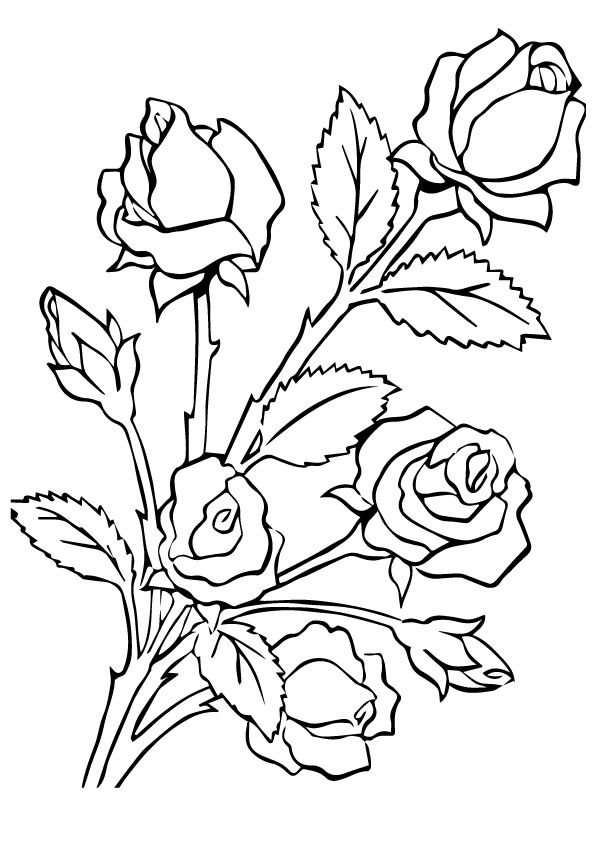 37 Elegant Rose Coloring Pages Printable 22