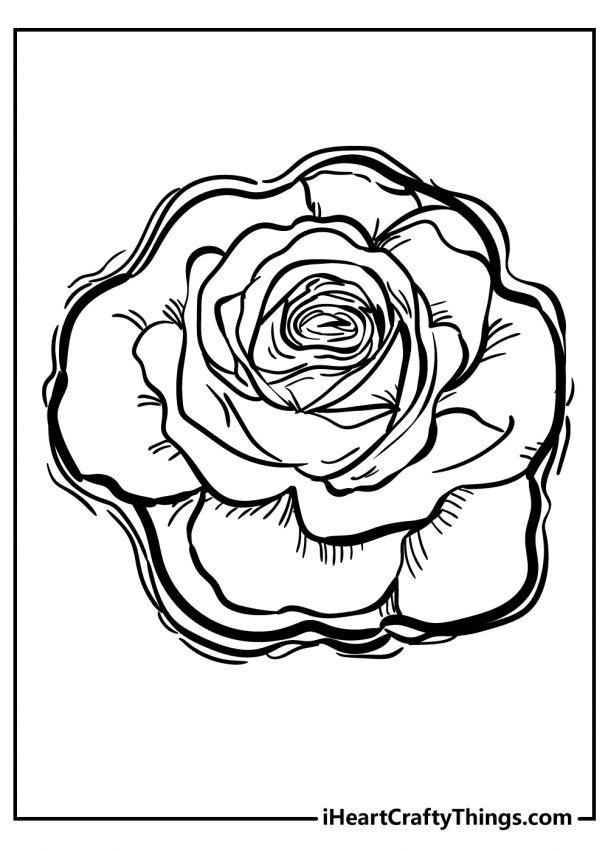 37 Elegant Rose Coloring Pages Printable 30