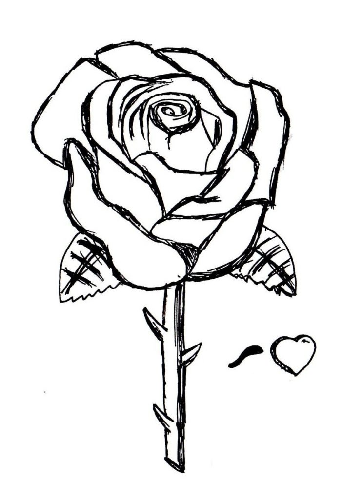 37 Elegant Rose Coloring Pages Printable 31