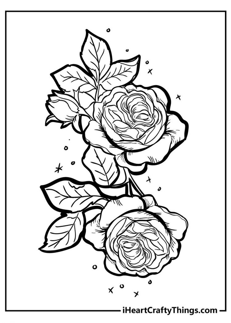 37 Elegant Rose Coloring Pages Printable 4