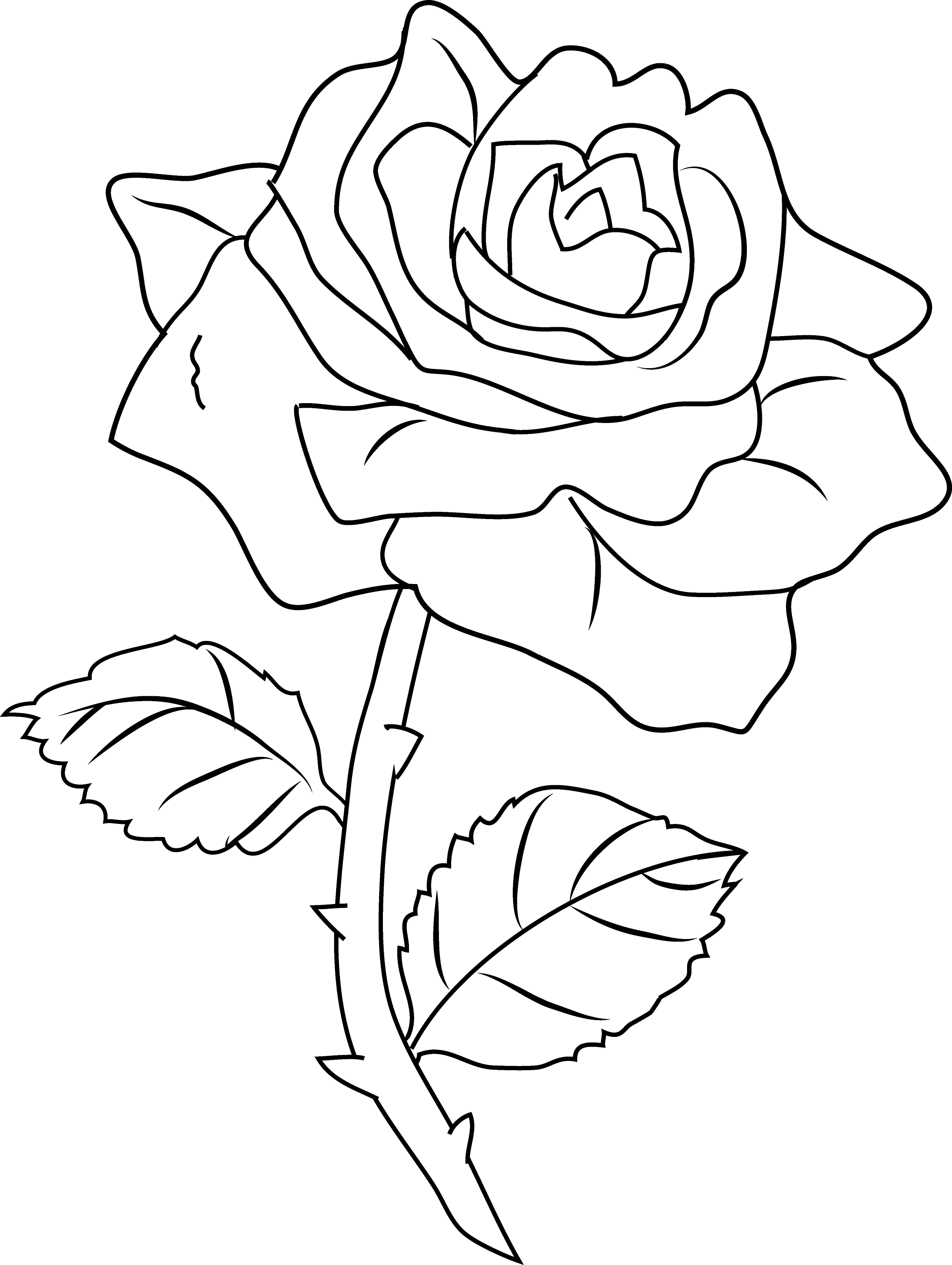 37 Elegant Rose Coloring Pages Printable 5