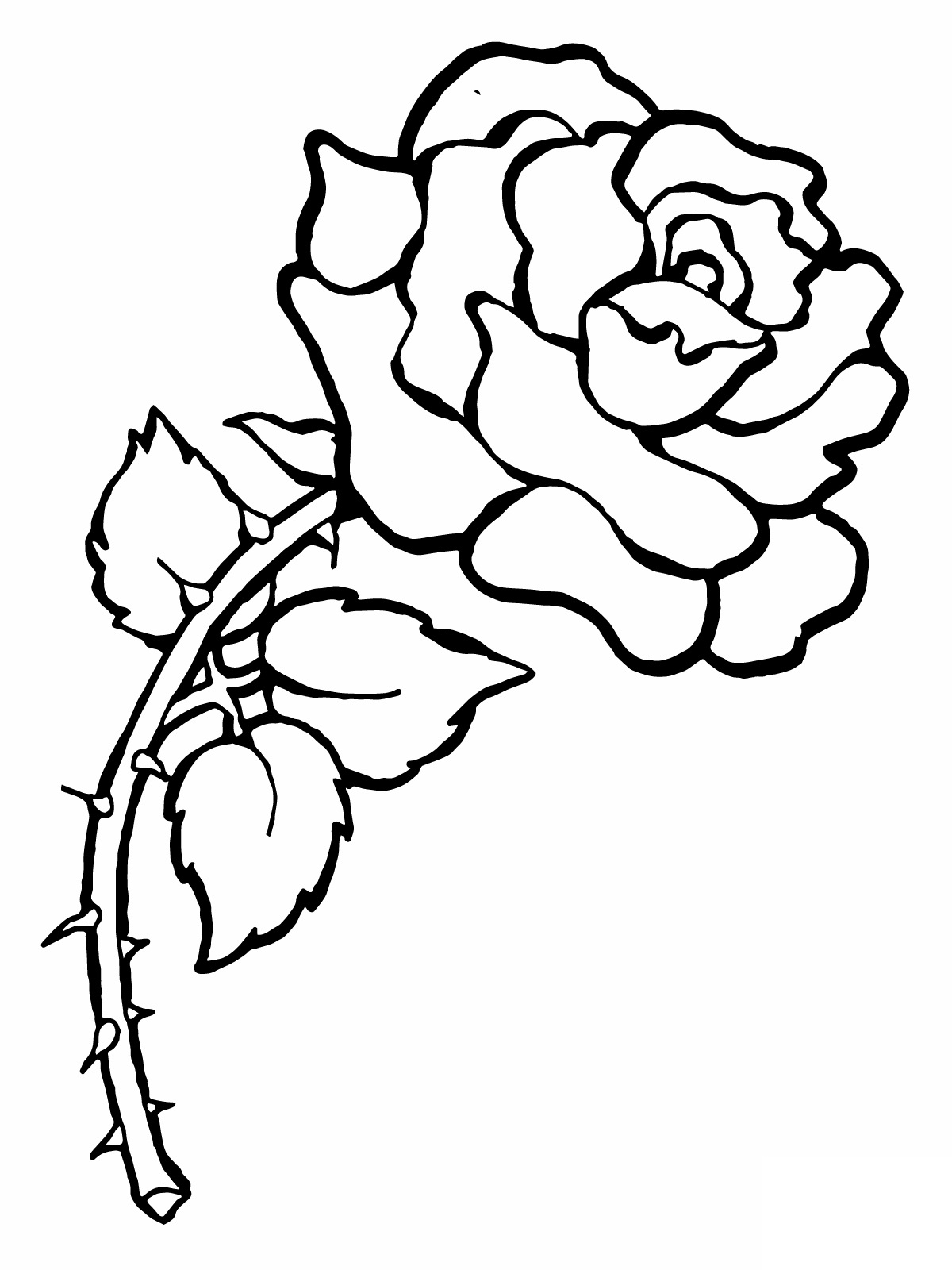 37 Elegant Rose Coloring Pages Printable 6