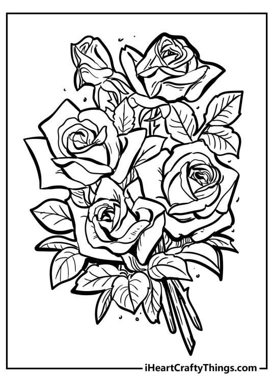 37 Elegant Rose Coloring Pages Printable 7