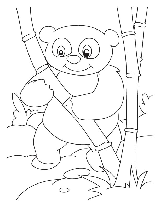 39 Cuddly Panda Coloring Pages Printable 17