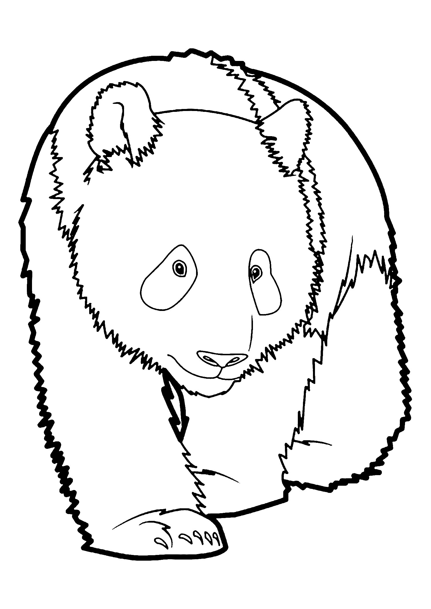 39 Cuddly Panda Coloring Pages Printable 23