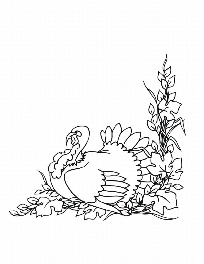 82 Turkey Country Coloring Pages Printable 1