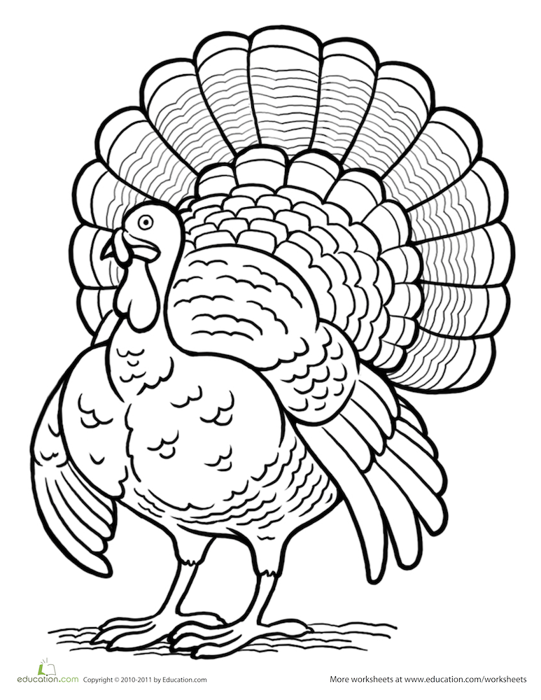 82 Turkey Country Coloring Pages Printable 10