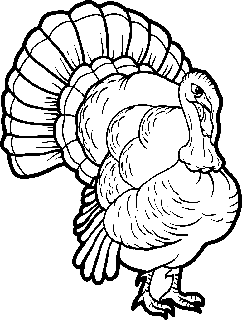 82 Turkey Country Coloring Pages Printable 13