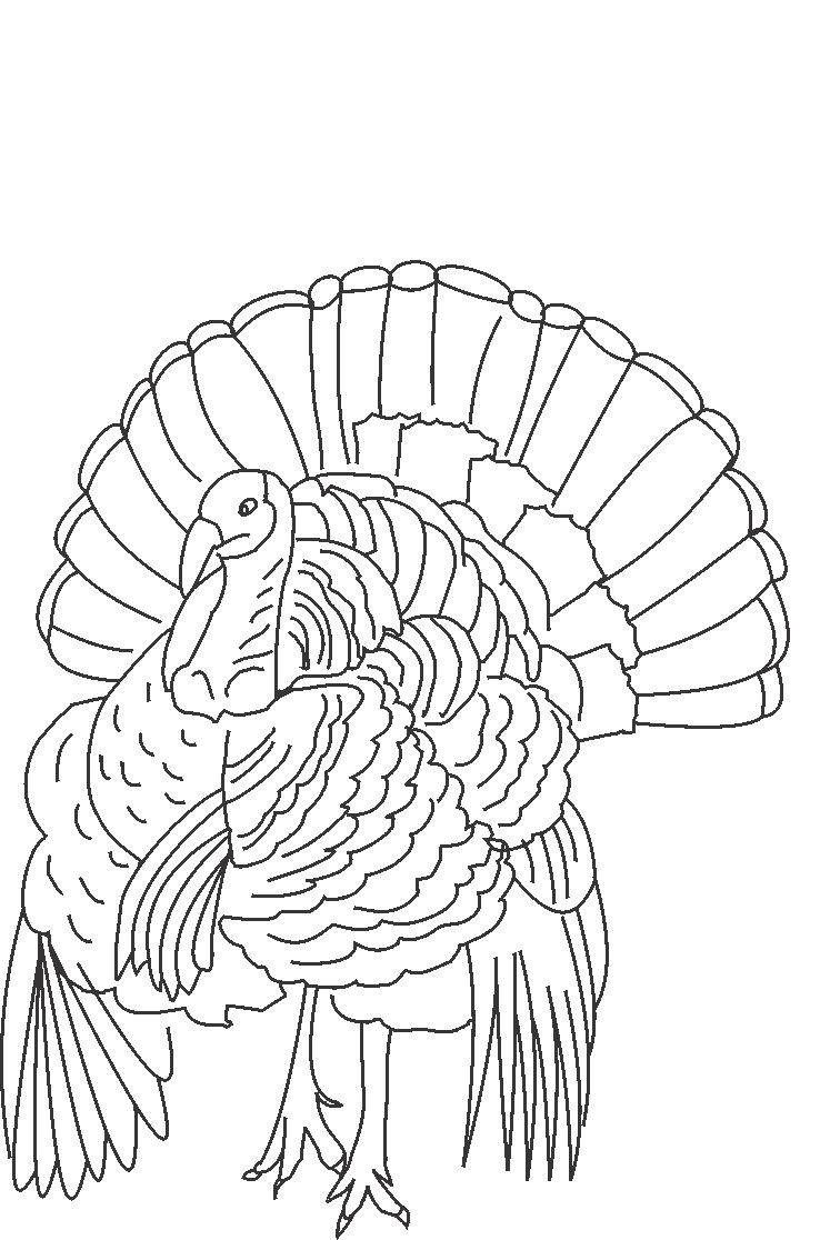 82 Turkey Country Coloring Pages Printable 38