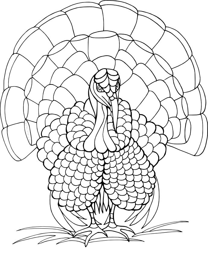 82 Turkey Country Coloring Pages Printable 43