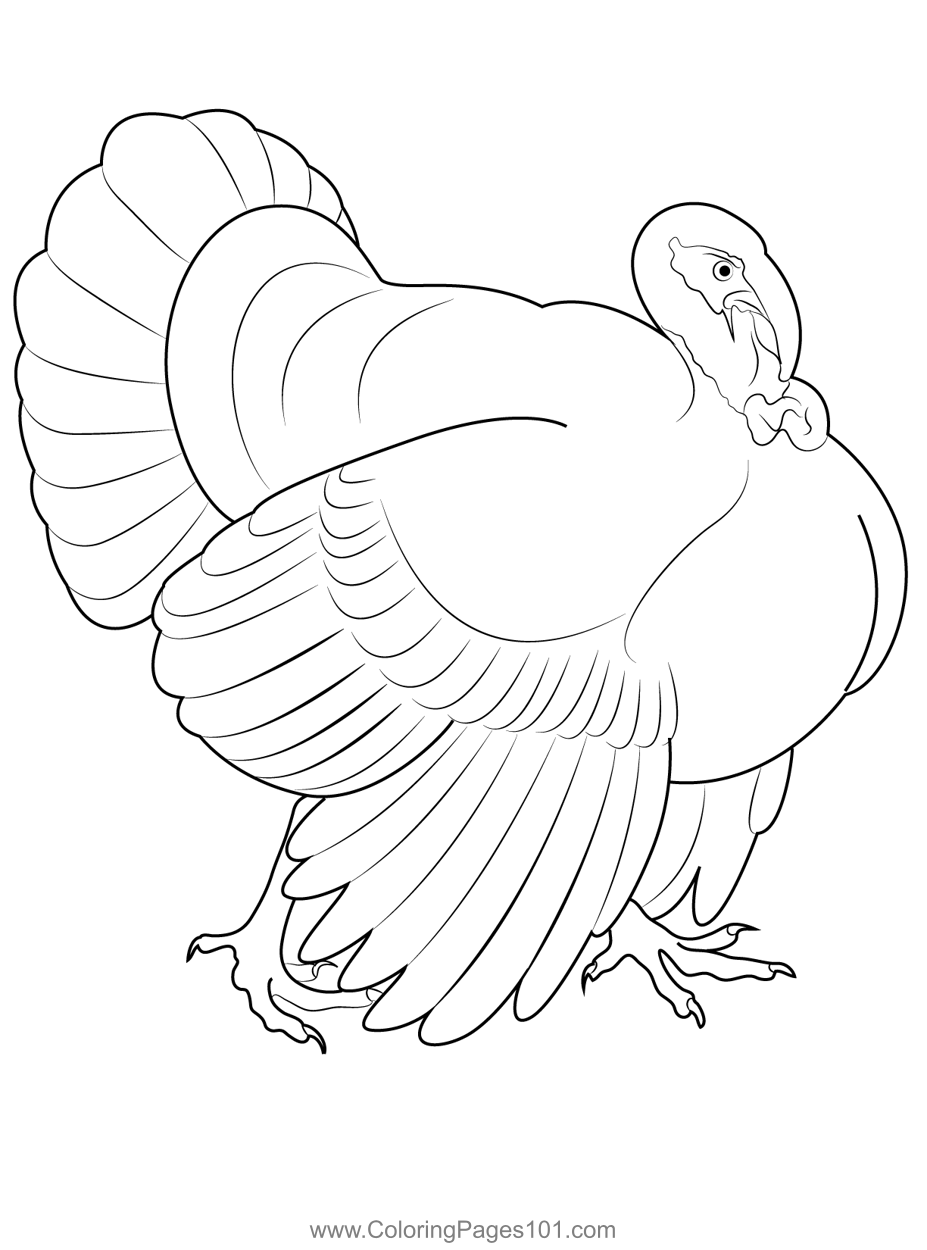 82 Turkey Country Coloring Pages Printable 44