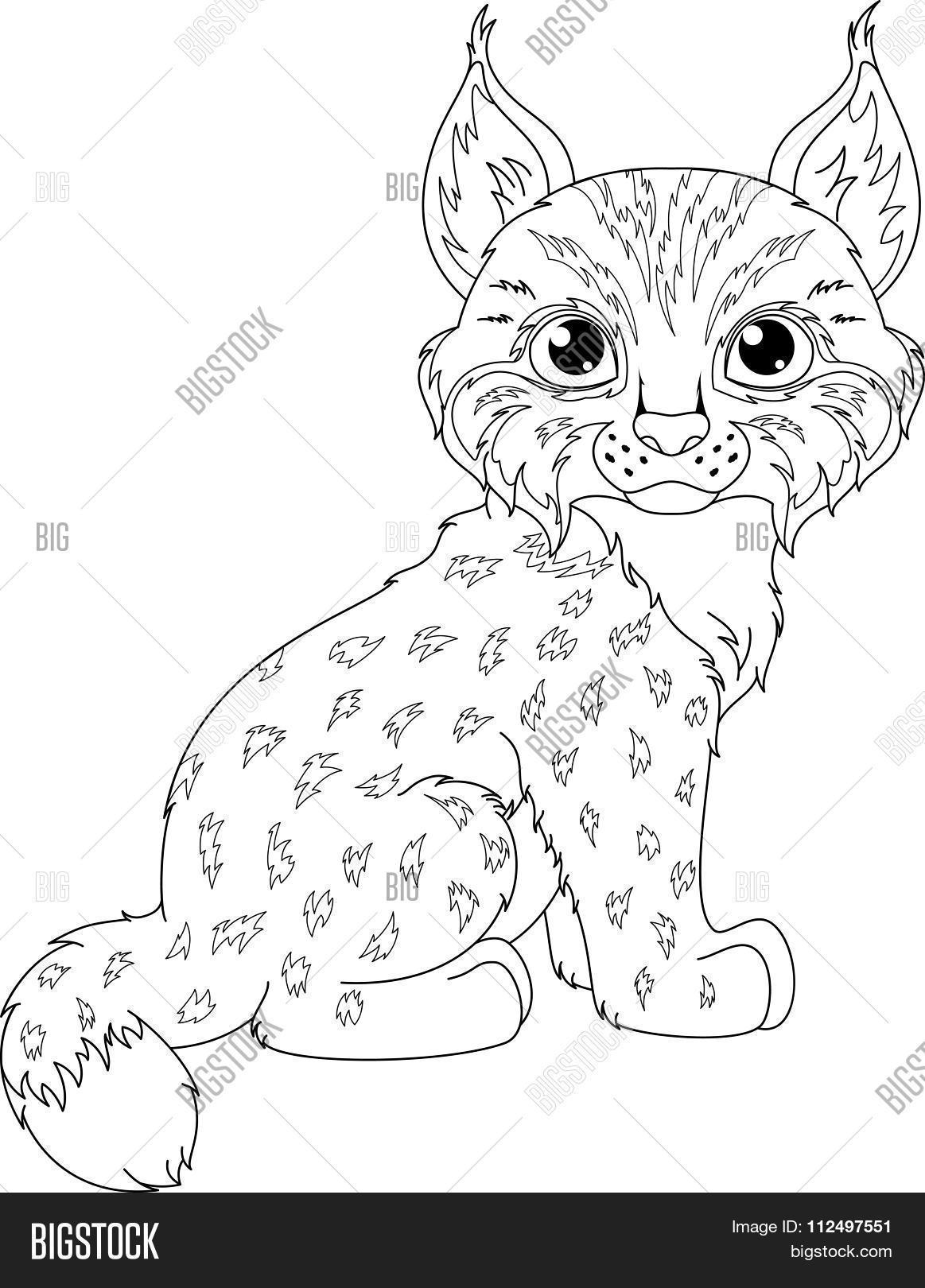 84 Bobcat Coloring Pages Printable 18