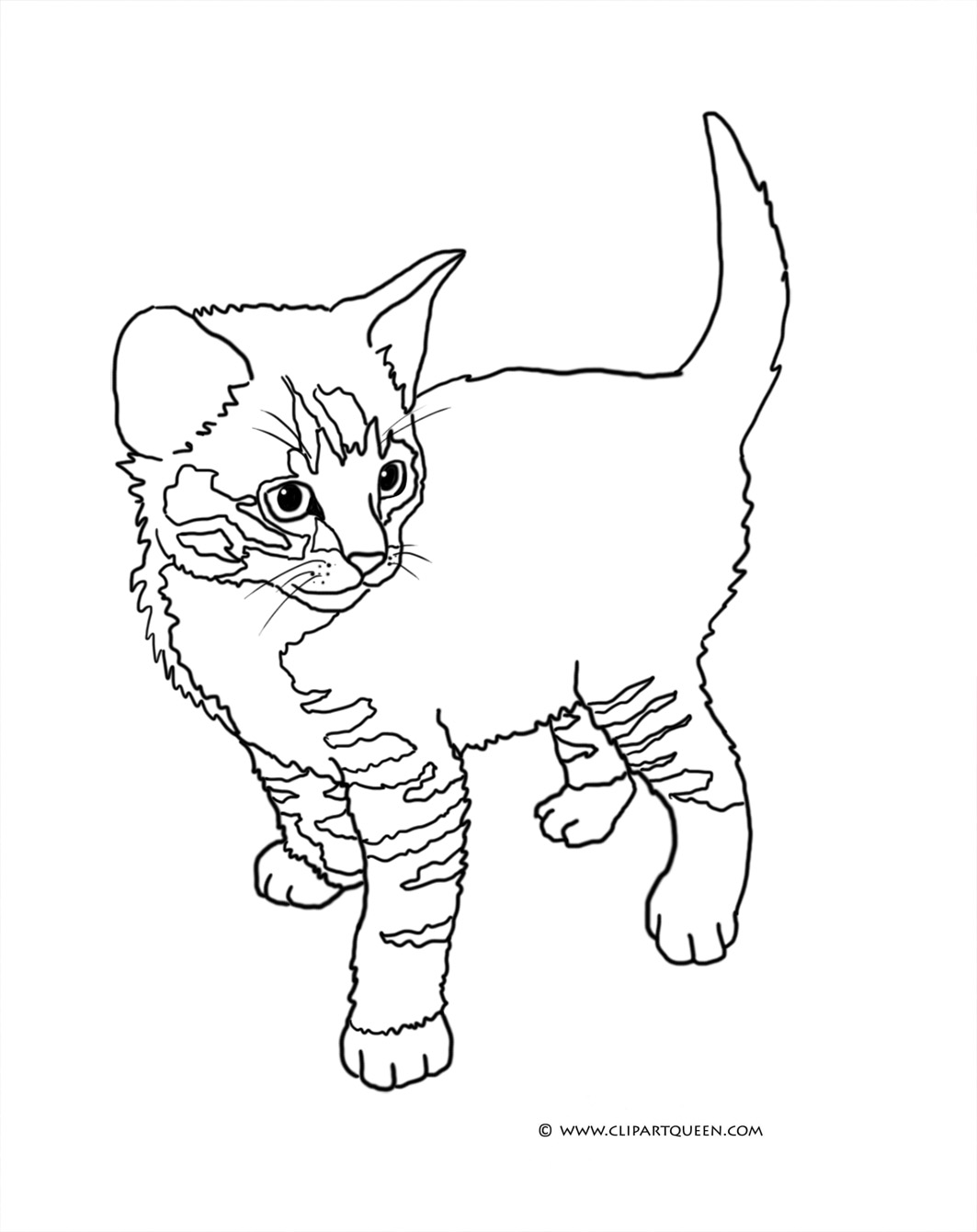 84 Bobcat Coloring Pages Printable 19