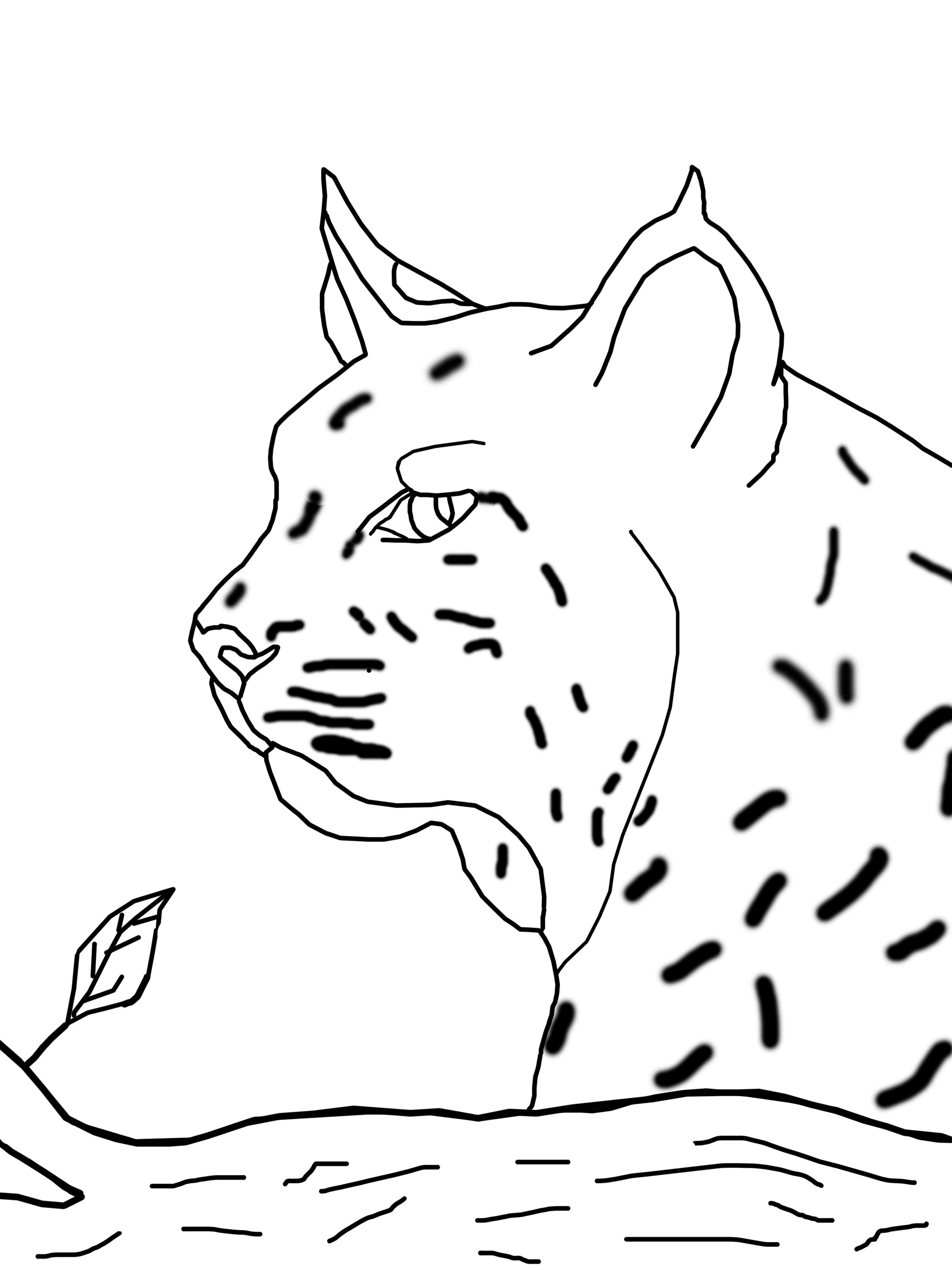 84 Bobcat Coloring Pages Printable 20