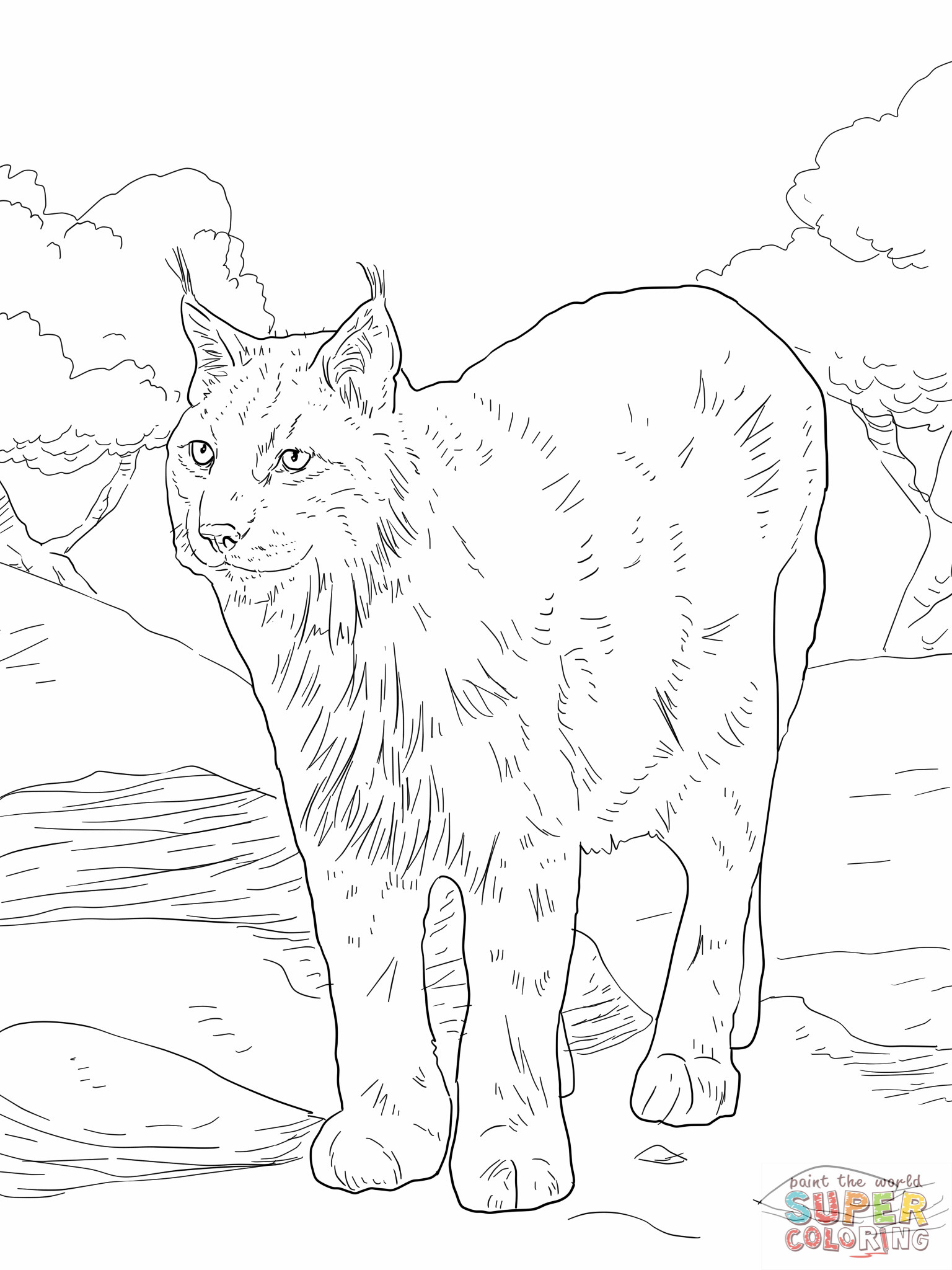 84 Bobcat Coloring Pages Printable 21