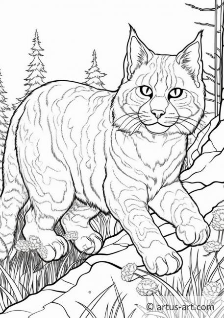 84 Bobcat Coloring Pages Printable 22