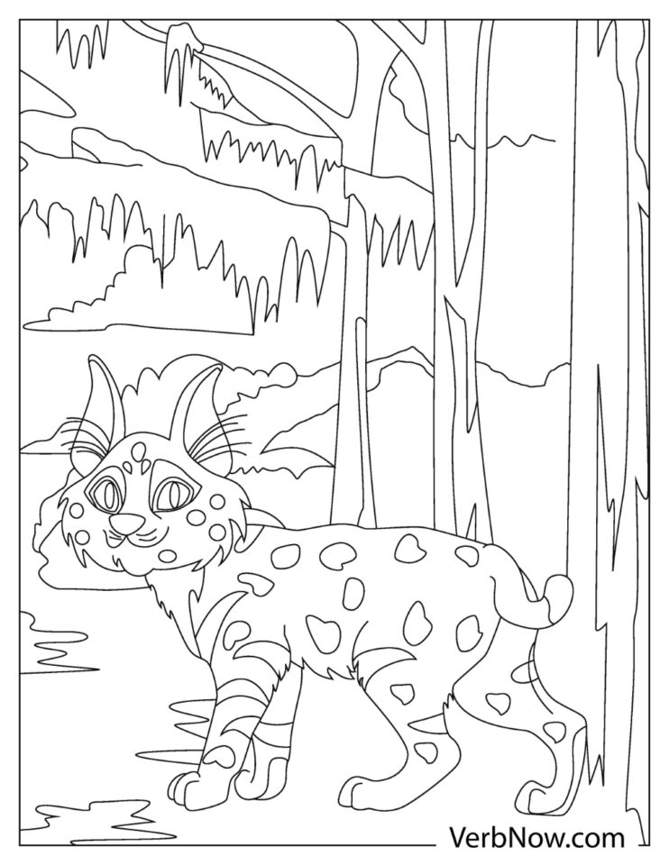 84 Bobcat Coloring Pages Printable 23