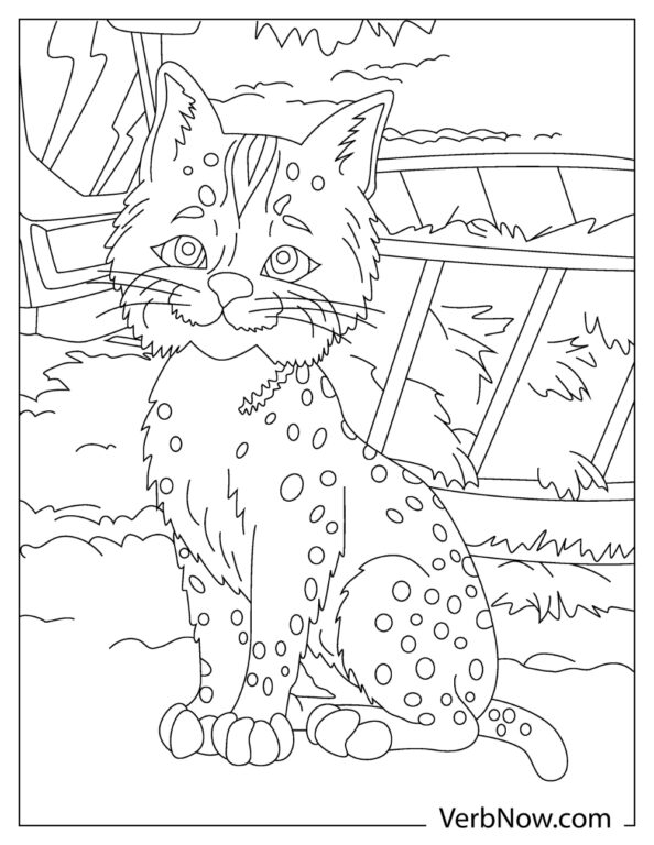 84 Bobcat Coloring Pages Printable 24