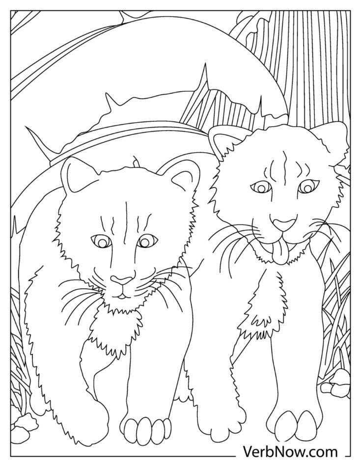 84 Bobcat Coloring Pages Printable 25