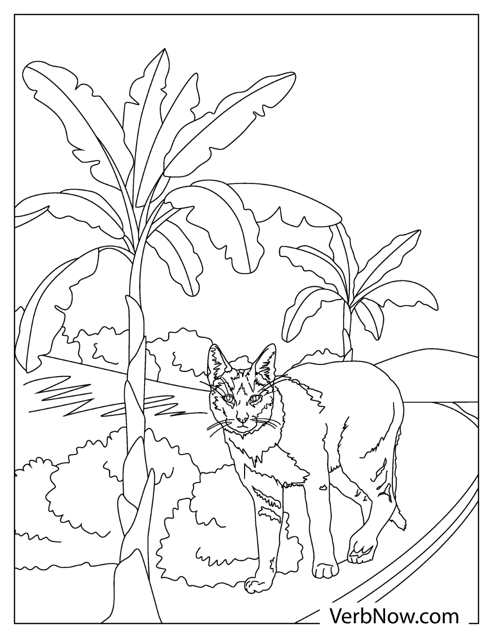 84 Bobcat Coloring Pages Printable 3