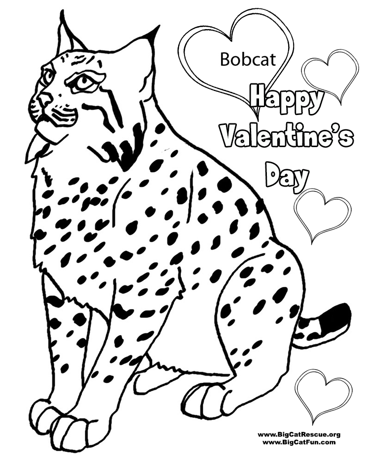 84 Bobcat Coloring Pages Printable 30