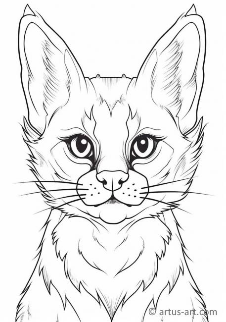 84 Bobcat Coloring Pages Printable 34