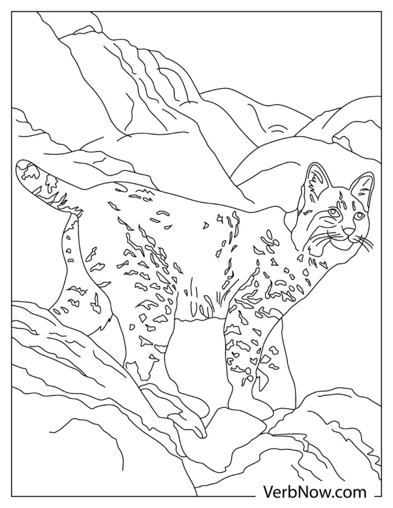 84 Bobcat Coloring Pages Printable 36