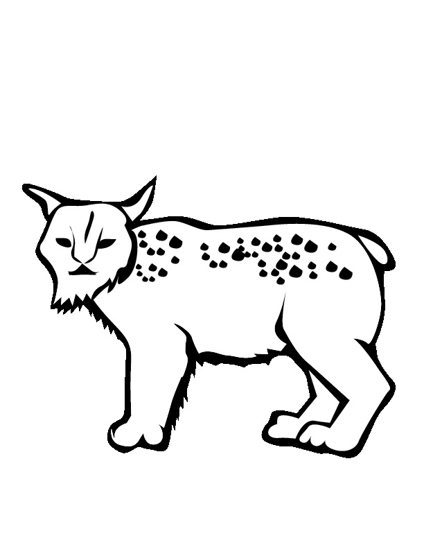 84 Bobcat Coloring Pages Printable 38