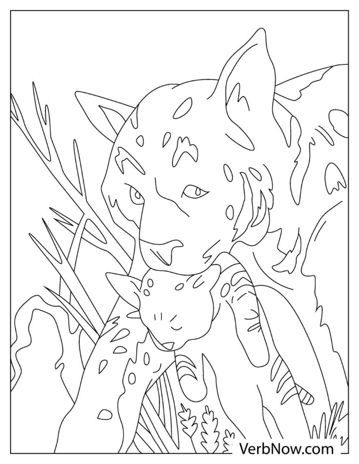 84 Bobcat Coloring Pages Printable 41