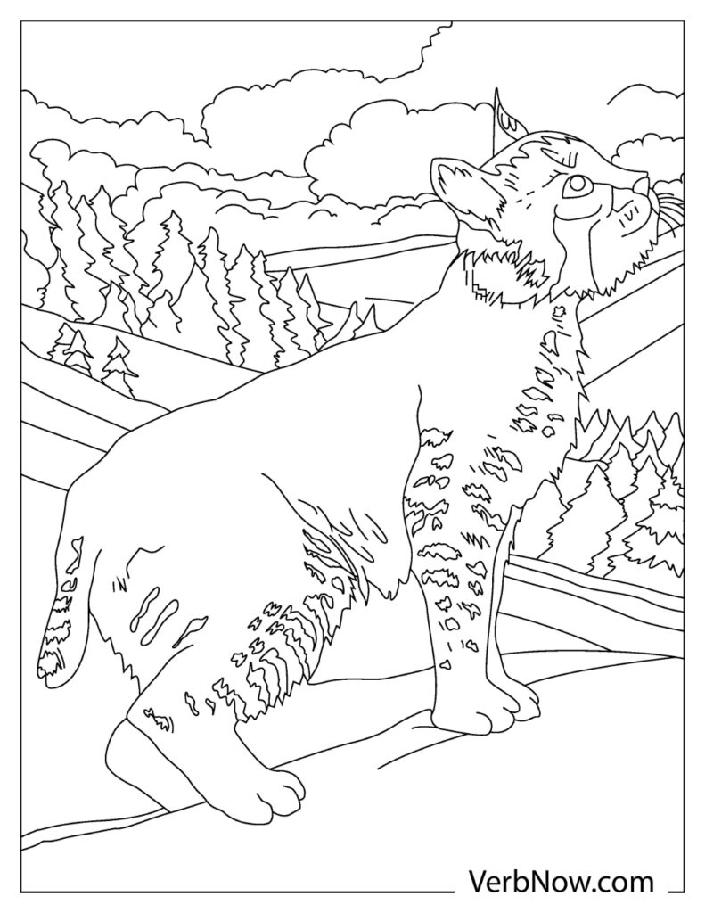 84 Bobcat Coloring Pages Printable 55