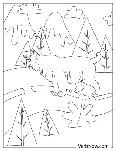 84 Bobcat Coloring Pages Printable 59