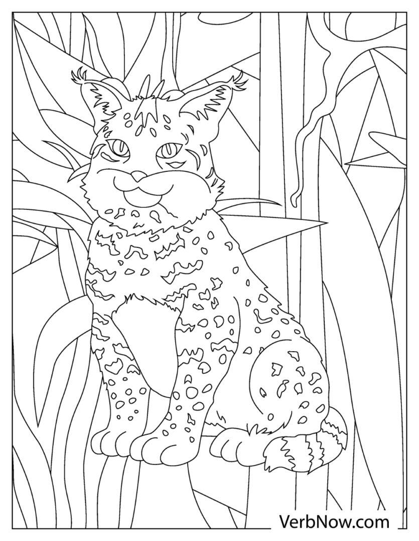 84 Bobcat Coloring Pages Printable 66