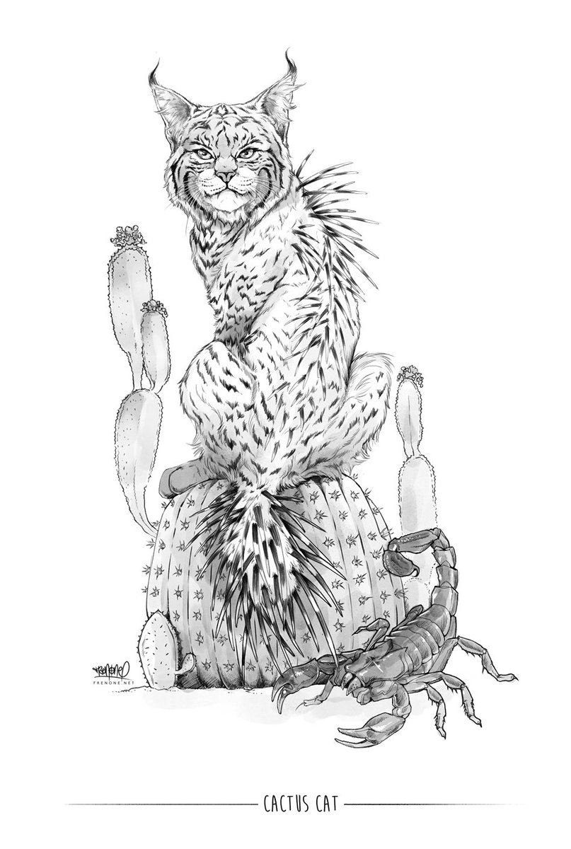 84 Bobcat Coloring Pages Printable 72