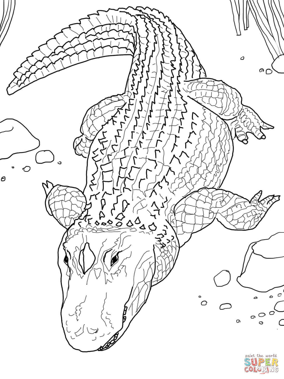 84 Bobcat Coloring Pages Printable 76