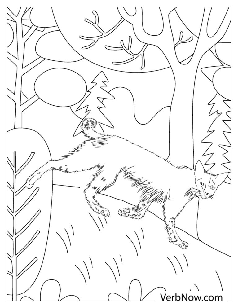 84 Bobcat Coloring Pages Printable 80