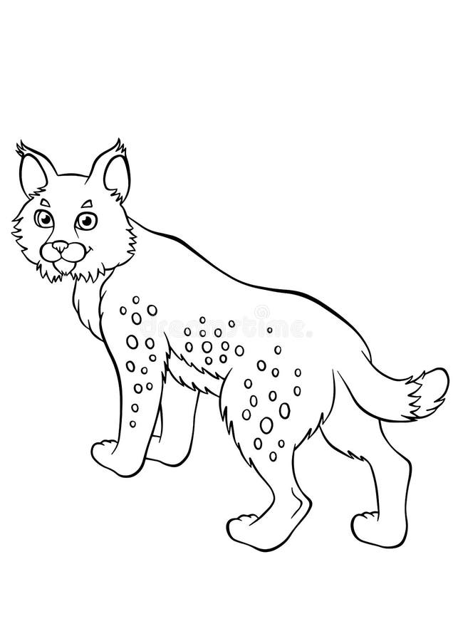 84 Bobcat Coloring Pages Printable 82