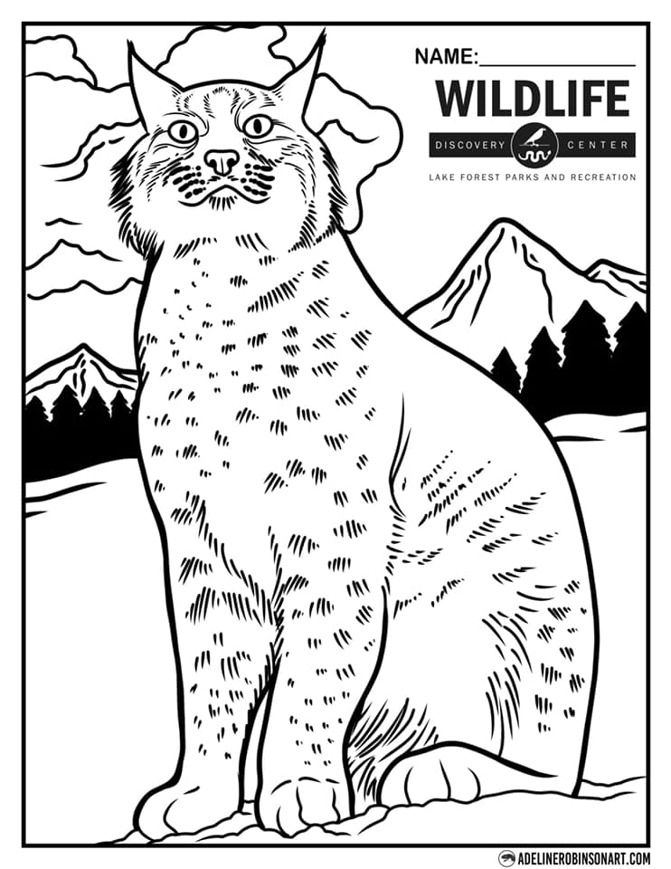 84 Bobcat Coloring Pages Printable 83